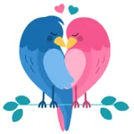 Birds in love lesson