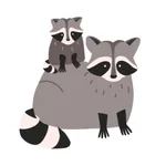 Raccoons on vacation lesson