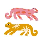 Star tigers lesson
